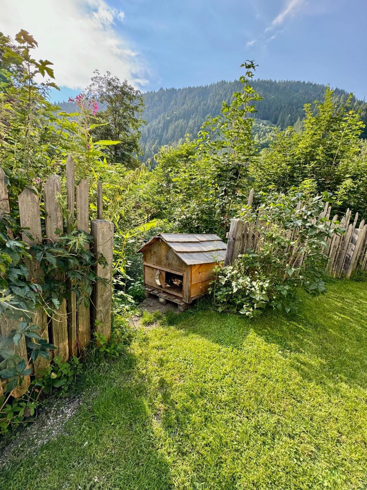 Appartement Haensel & Gretel Werfenweng Eksteriør bilde